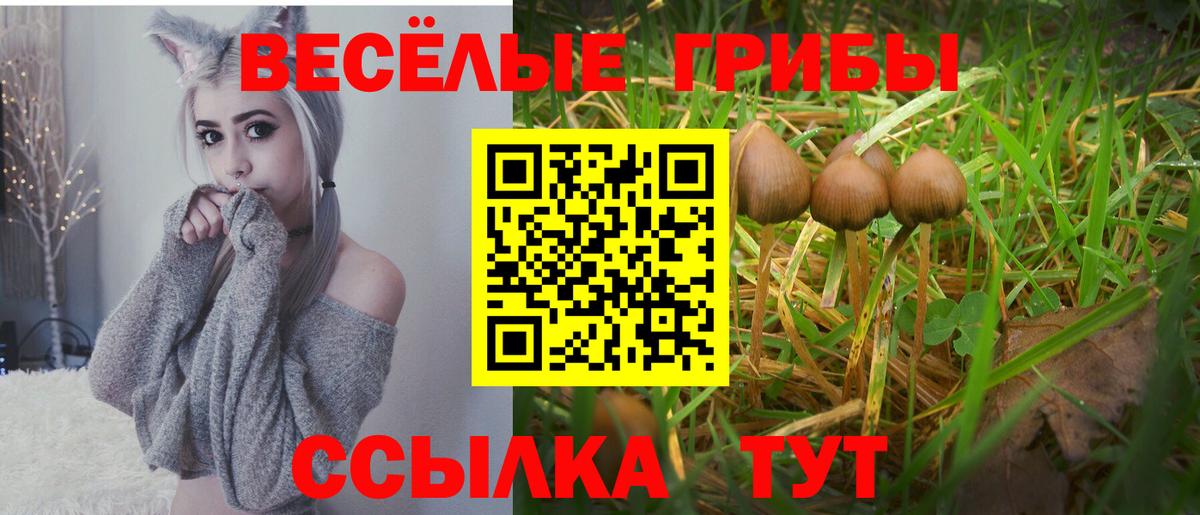 сколько стоит  Вход с VPN  Первоуральск  Псилоцибиновые грибы MAGIC MUSHROOMS  Галлюциногенные грибы Cubensis 